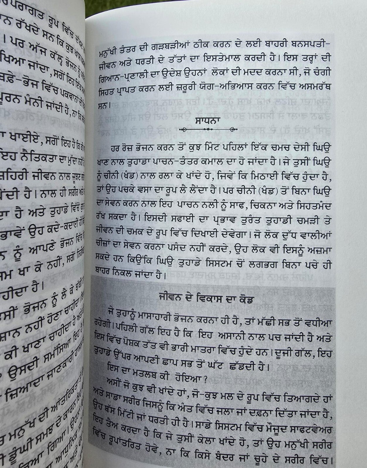 Sadhguru Inner Engineering A Jogi's Guide to Joy Punjabi book Literature B67 New