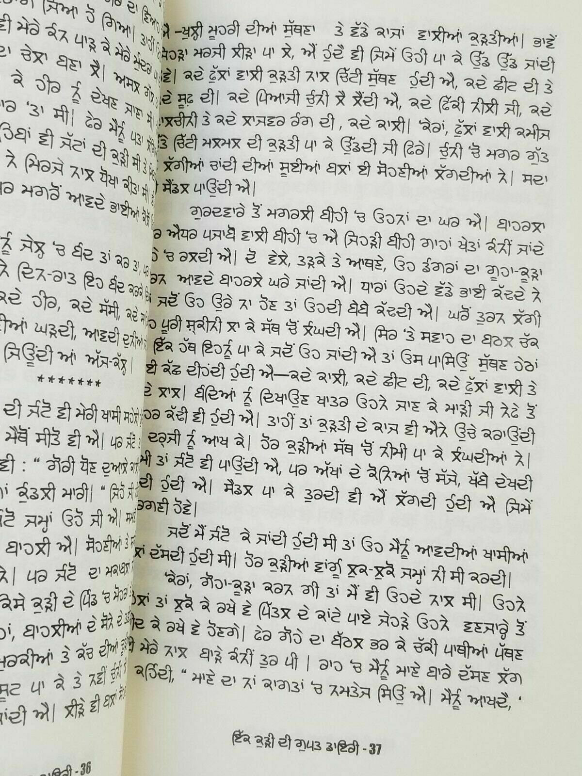 Ik kudi di gupt diary shashi pal samundra punjabi reading literature book panjab