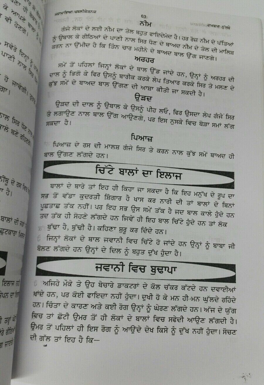 Desi Ramban Nuskhay Punjabi Book Indian Home Remedies Health Tips Panjabi Cure A