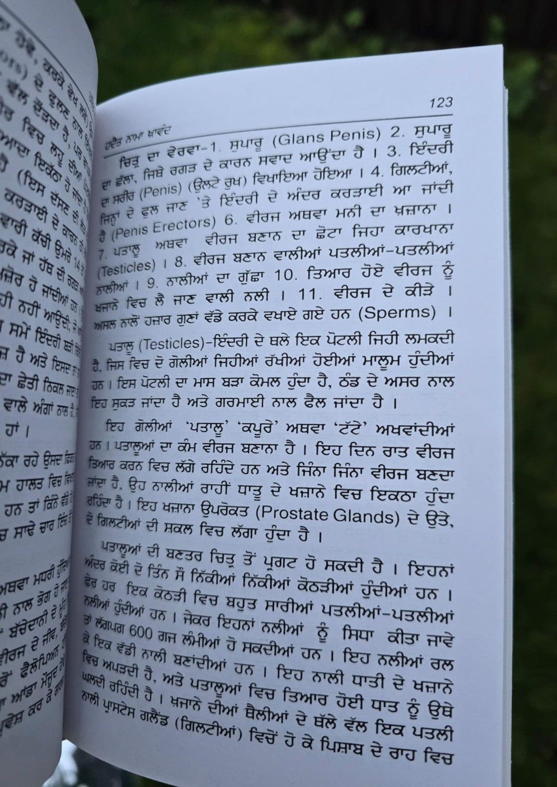 Hadat Nama Khawand Punjabi Enjoy Happy Married Life Tips Husband Gurmukhi Book M