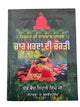 Hikmat Di Lajawab Pustak Desi Gharelu Nuskhe Herbal Remedies Punjabi Book MD22