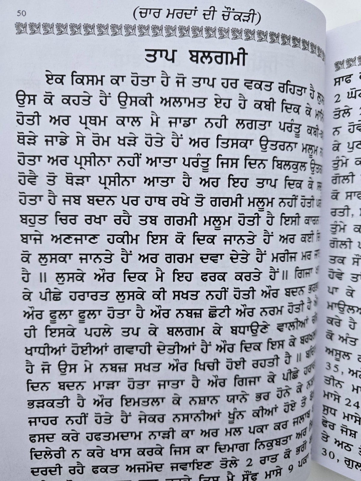 Hikmat Di Lajawab Pustak Desi Gharelu Nuskhe Herbal Remedies Punjabi Book MD22